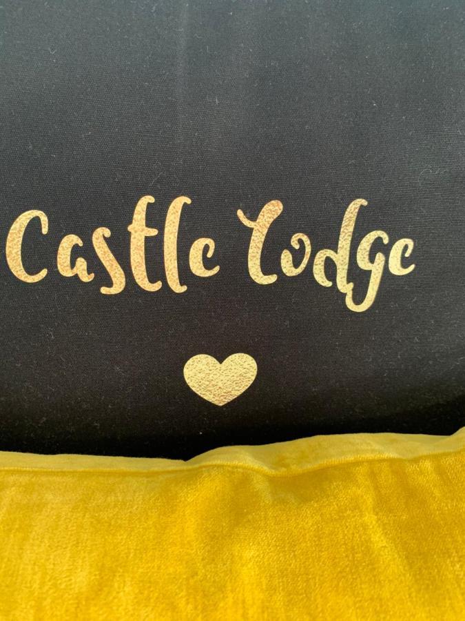 Castle Lodge Guest House Newport  Luaran gambar